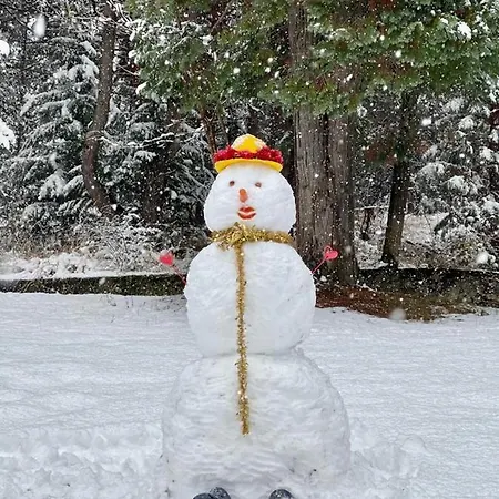 住宿加早餐酒店 卡特里纳c住宿加早餐酒店 4*