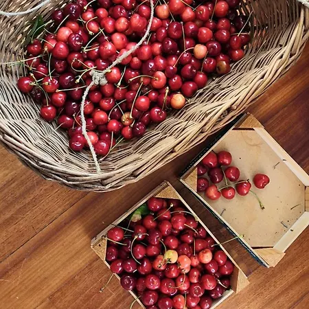 Caterina.c 발델라토레