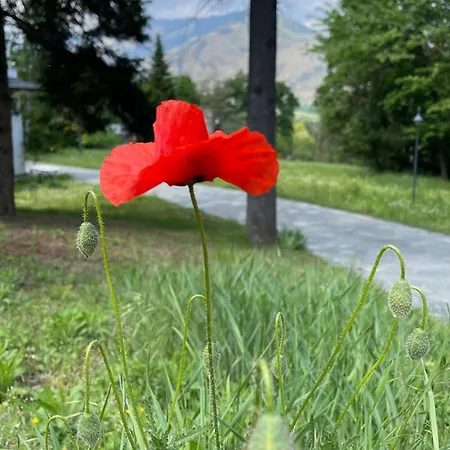 卡特里纳c住宿加早餐酒店 住宿加早餐酒店