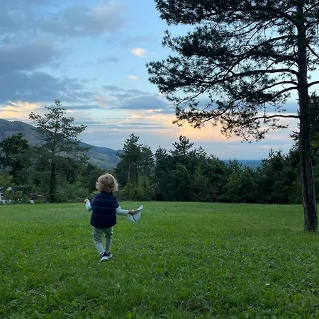 卡特里纳c住宿加早餐酒店 住宿加早餐酒店