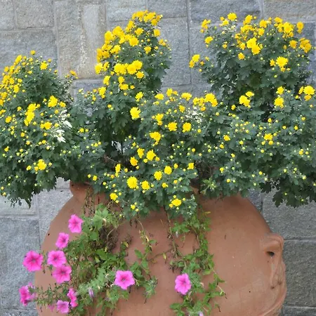 住宿加早餐酒店 卡特里纳c住宿加早餐酒店 4*