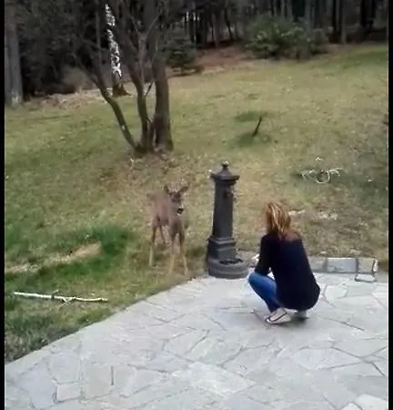 卡特里纳c住宿加早餐酒店 4*